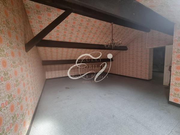 VENTE RILLIEUX LA PAPE 69140 - MAISON DE CHARME 1930 5 CHAMBRES AVEC GRAND JARDIN ARBORE - A RENOVER - POTENTI