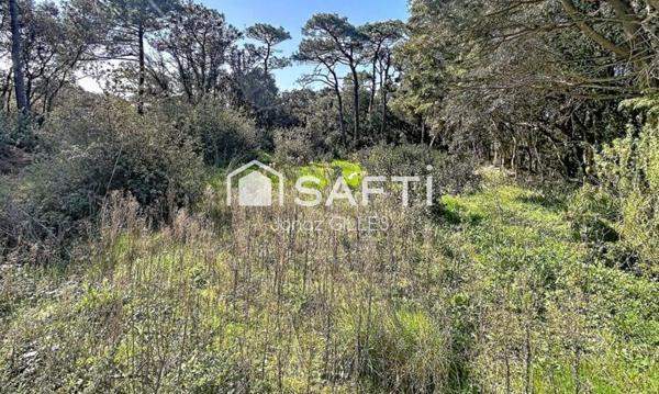 Terrain proche mer à Cayola