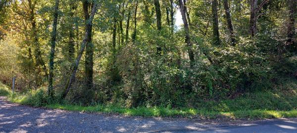 Urcuit (64990) Urcuit terrain en zone UY pour 7 000m² environ + 7 4783 ernviron en zone Nbd