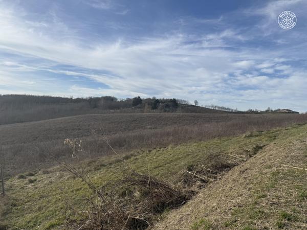 Caussade (82300) 16 hectares de terres agricoles secteur Caussade-Auty 82