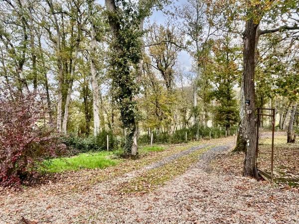 MIRANDE(32)et MIELAN proche: PROPRIETE 3.3HA, isolée, calme, position dominante, VUE, sans travaux, chevaux et famille bienvenus....