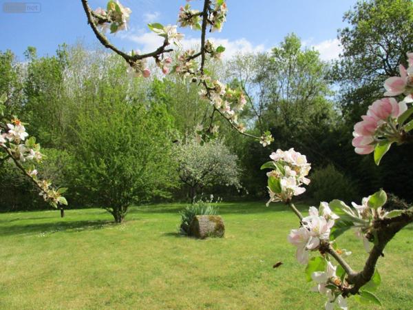 Maison individuelle à vendre à Aigrefeuille-d'Aunis en Charente-Maritime (17290), ref : 584