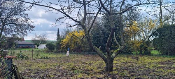 Maison à louer à Riencourt-lès-Cagnicourt dans le Pas-de-Calais (62182), ref : 62017-L263