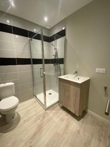 Appartement à louer à Cluny en Saône-et-Loire (71250), ref : l800234731