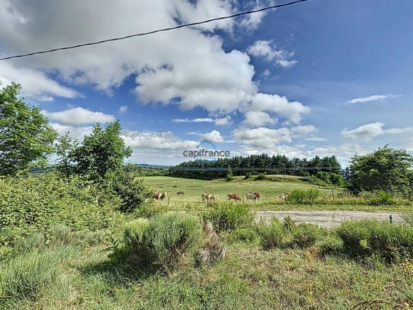 maison à vendre 7 pièces FREYSSENET (07) - Superficie hab 153 m2 - Terrain 2309 m2