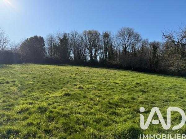 Terrain à vendre 2 600 m² Fouesnant