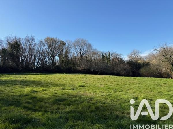 Terrain à vendre 2 600 m² Fouesnant