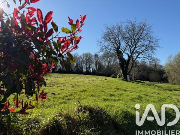 Terrain à vendre 2 600 m² Fouesnant