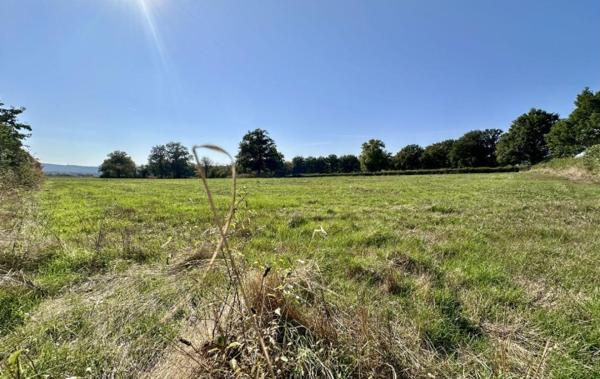 Vente Maison 1 ha de terrain attenant rénové(e) Betete   