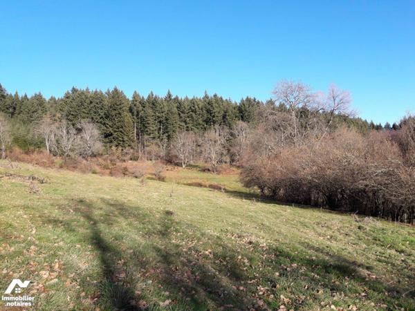 Terrain constructible.