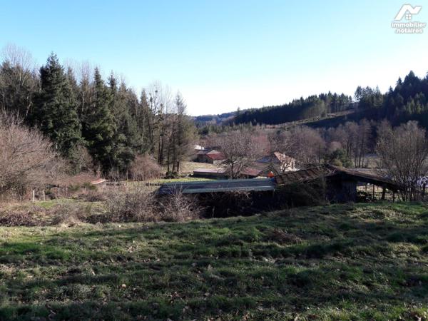 Terrain constructible.