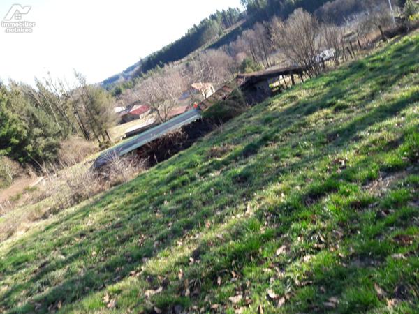 Terrain constructible.