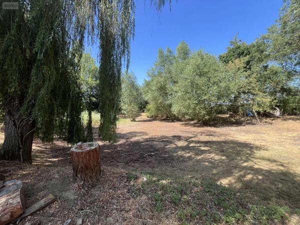 Achat - Maison Argentonnay 79150 5 pièces 170 m 2 8320 m 2