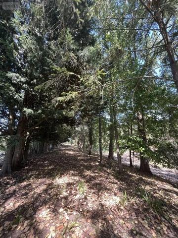 Achat - Maison Argentonnay 79150 5 pièces 170 m 2 8320 m 2