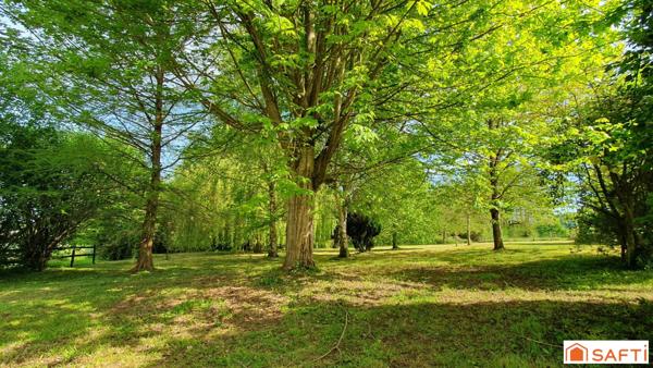 Très beau terrain arboré - Grand bâtiment