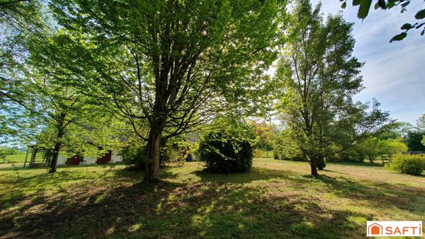 Très beau terrain arboré - Grand bâtiment