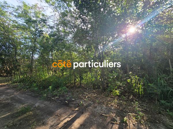 Vente Terrain2271 m² - SAINT FRANCOIS (97118)