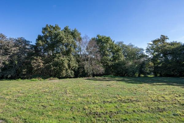 Vente / Maison d'architecte à Buros (64160)