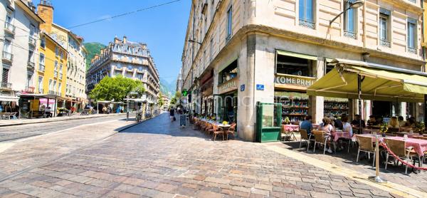 Amoureux de l’atypique, investisseurs en quête d’un bien de caractère, cette adresse est faite pour vous.

Au cœur de Grenoble, à l’arrière d’un superbe immeuble haussmannien, découvrez cette charmante conciergerie de 51 m², véritable petite maison cachée à l’abri de l’agitation urbaine. Dès votre arrivée, son allure de maison de poupée et son atmosphère intimiste séduisent immédiatement.

À l’extérieur, une agréable cour privative ombragée de 22 m² vous invite à profiter des beaux jours. Un espace idéal pour partager des repas en famille, recevoir des amis ou simplement savourer des moments de détente, même en plein été.

Le rez-de-chaussée se compose :
- d’une spacieuse cuisine dinatoire conviviale,
- d’une première chambre bénéficiant d’une belle hauteur sous plafond,
- d’une pièce de vie baignée de lumière naturelle grâce à son puits de lumière,
- ainsi que d’une salle de bains.

À l’étage, vous découvrirez une grande chambre avec dressing, offrant un espace confortable et fonctionnel, ainsi qu’un accès à un grenier sain et isolé, idéal pour le stockage.

Une grande cave complète également ce bien.

Quelques travaux de rafraîchissement permettront de révéler tout le potentiel de cette maison et de la façonner selon vos envies. Que vous recherchiez une résidence pleine de charme ou un investissement à fort potentiel, cette propriété constitue une belle opportunité.

Côté rentabilité, le bien était précédemment loué 875 €/mois et présente un potentiel locatif estimé à environ 20 000 € par an, notamment dans le cadre d’une location meublée saisonnière.

Un bien rare, au charme singulier, qui ne demande qu’à écrire une nouvelle histoire.