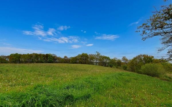 Terrain à vendre    Castaignos-Souslens