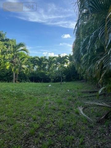 Maison à vendre à Sainte-Luce en Martinique (97228), ref : 97204-360