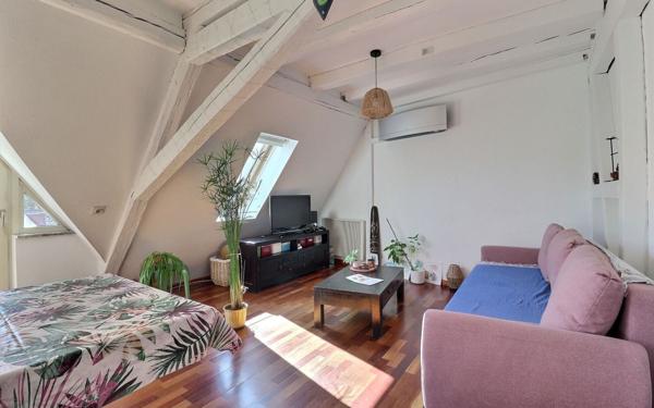 Appartement à vendre    3 pièces • 120 m2 Erstein