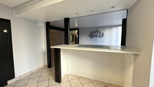 Saint-Étienne (42100) Appartement duplex de 180m2 avec terrasse