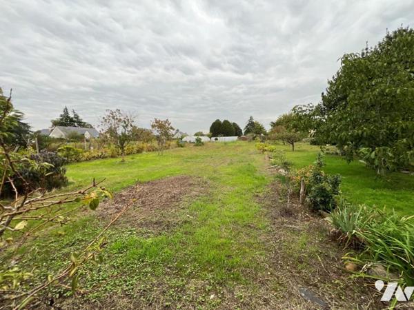 Centre ville de LONGUE maison terrain et hangar