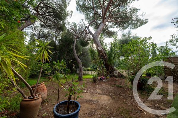 Appartement T2 à vendre  2 pièces - 47,07 m2 LE LAVANDOU - 83