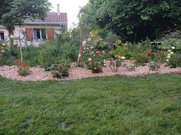 Maison Saint Savin 3 pièces 92 m2 avec 2 hectares de terrain