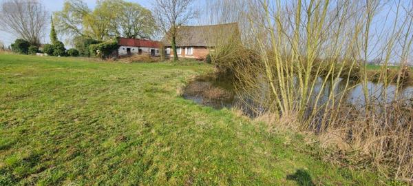 Corps de ferme à vendre à Steenvoorde dans le Nord (59114), ref : W3969
