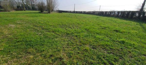 Corps de ferme à vendre à Steenvoorde dans le Nord (59114), ref : W3969