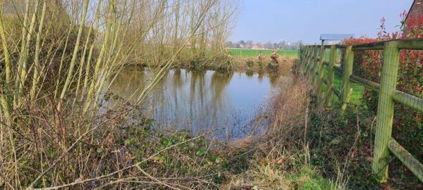 Corps de ferme à vendre à Steenvoorde dans le Nord (59114), ref : W3969