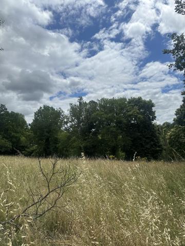 Terrain
        
        - 3855 m²