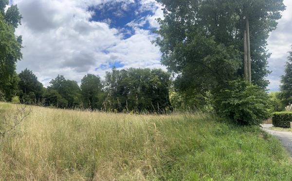Terrain
        
        - 3855 m²