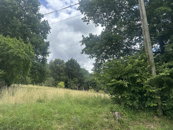 Terrain
        
        - 3855 m²