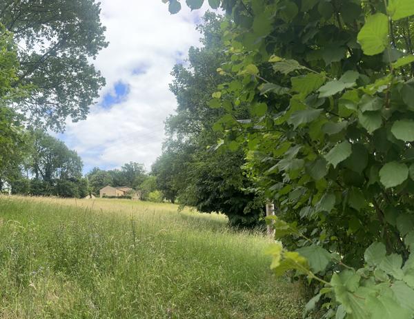 Terrain
        
        - 3855 m²