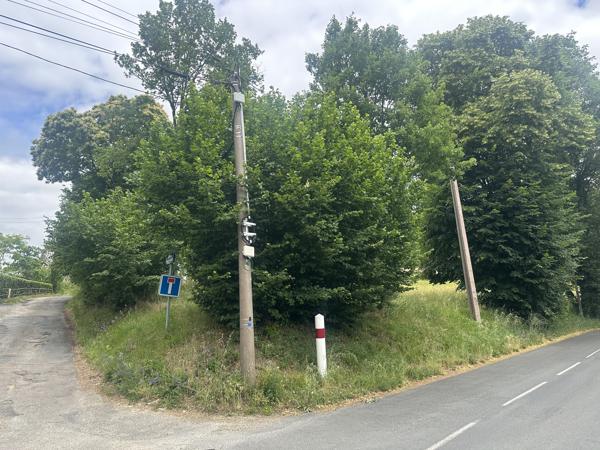 Terrain
        
        - 3855 m²
