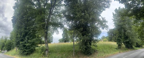 Terrain
        
        - 3855 m²