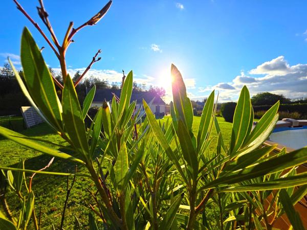 Maison contemporaine de plain-pied, son garage, ses dépendances et son terrain de 46ares !! Inédit sur le secteur !!!!