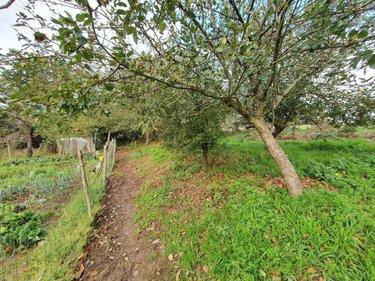 Maison à vendre à Remungol dans le Morbihan (56500), ref : 56076-1103