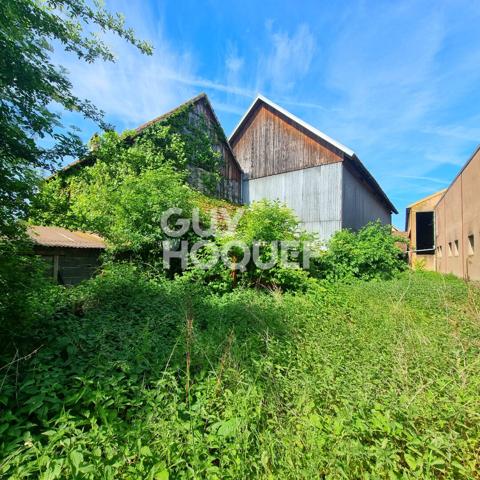 Maison Baldenheim 7 pièces 156 m2 sur un terrain de 9,19 ares de terrain