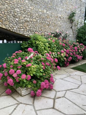 Maison 9 pièce(s) 4 chambre(s) 228 m²