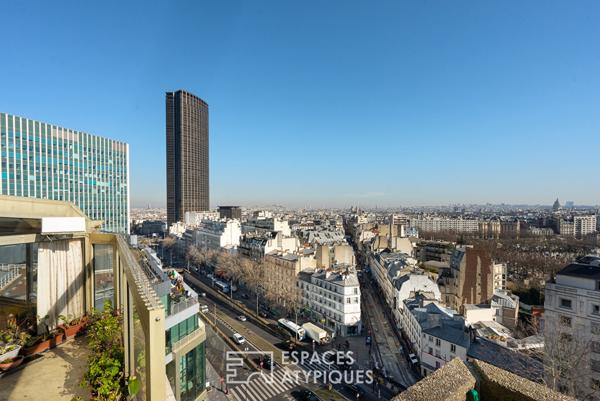 Duplex Montparnasse avec terrasse et vue sur Paris