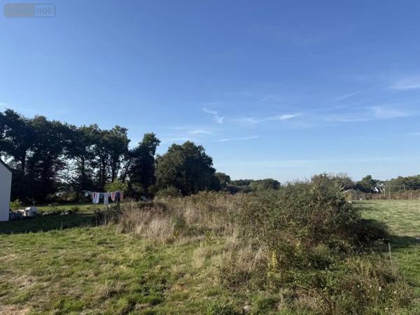 Achat - Terrain à bâtir Plumergat 56400 1460 m 2