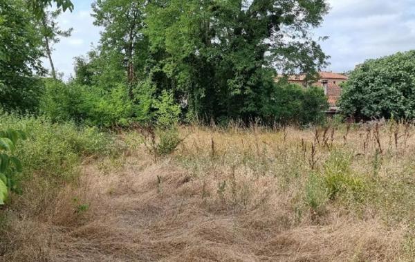 Vente Terrain Saramon   