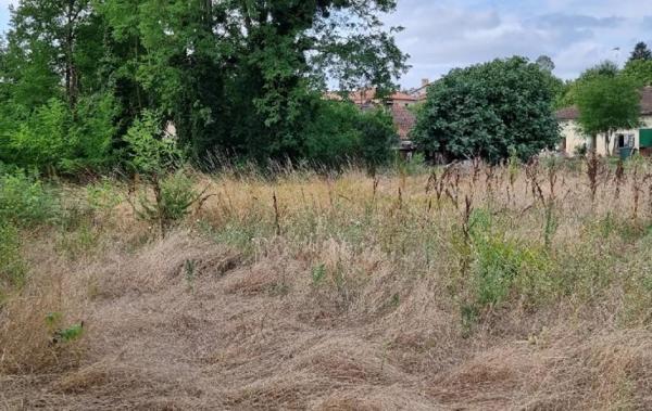 Vente Terrain Saramon   