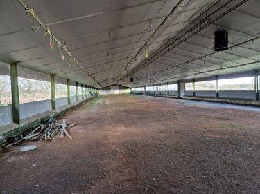 Bâtiment agricole à vendre à Plévin dans les Côtes-d'Armor (22340), ref : 22075-BAGR01552