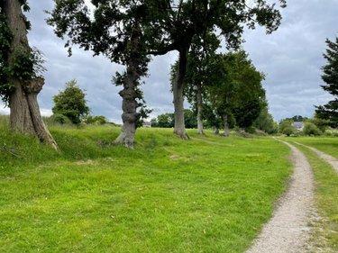 Divers à vendre à Dol-de-Bretagne en Ille-et-Vilaine (35120), ref : 35104-1713