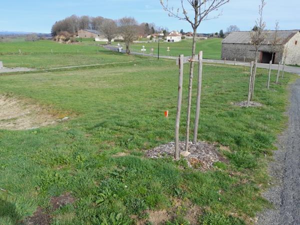 TERRAIN VIABILISE  940 M2  20mn Aurillac Vue sur montagne